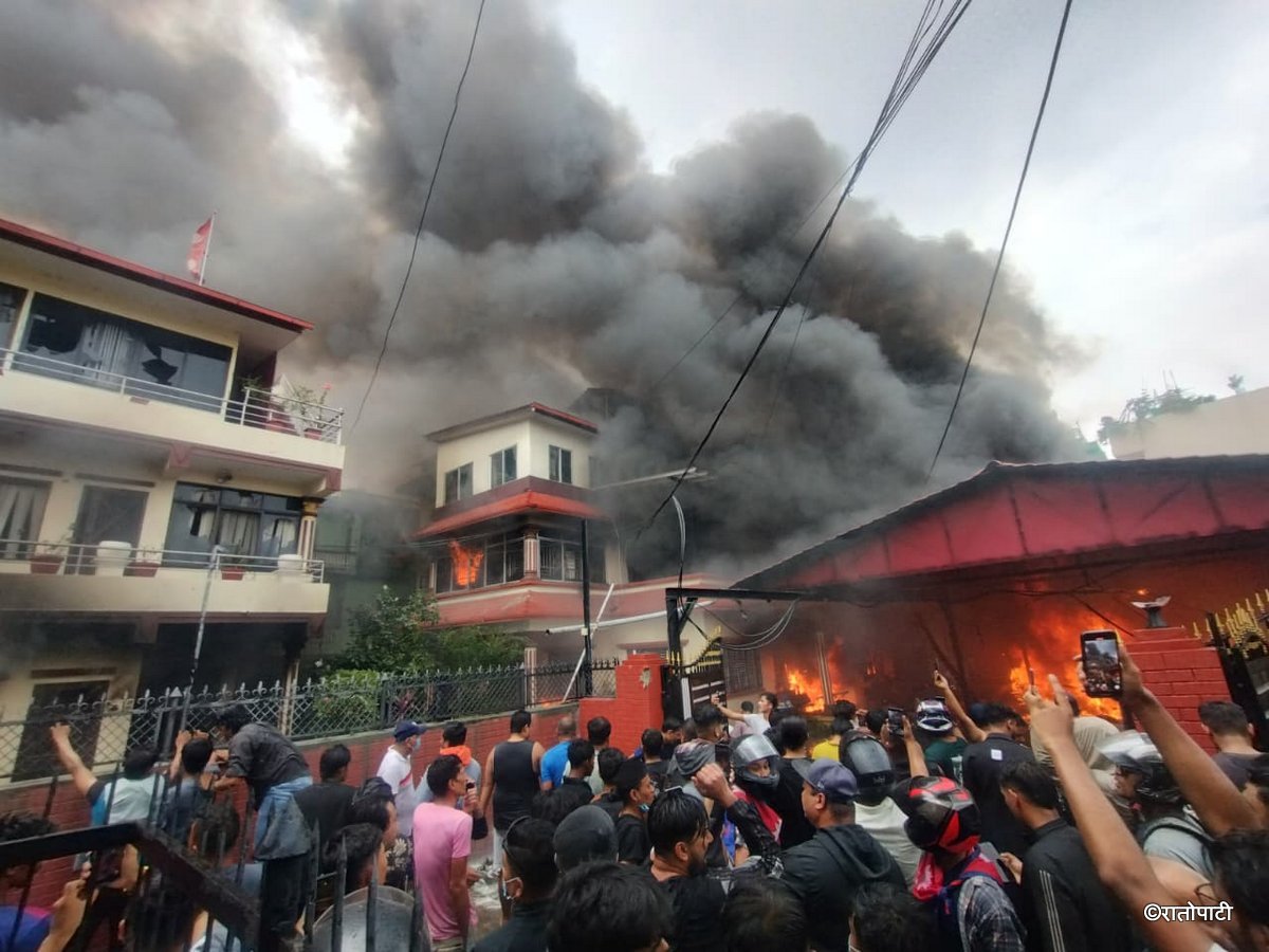 oli niwas (4)