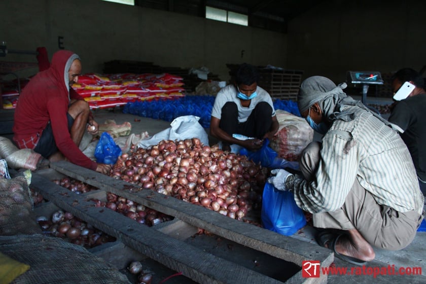 onion_selling_12_mXxjvxopwA