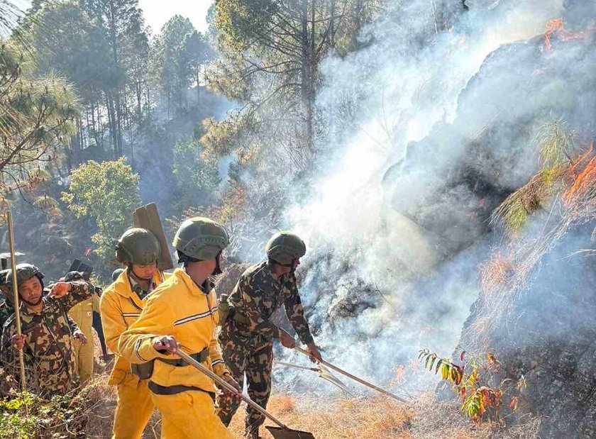 पाल्पाको जङ्गलमा डढेलो, तीन गाउँ जोखिममा