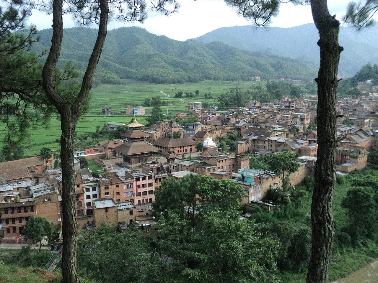 तीन महिनाभित्र पनौतीलाई विश्व सम्पदा सूचीमा राख्न पहल गरिँदै