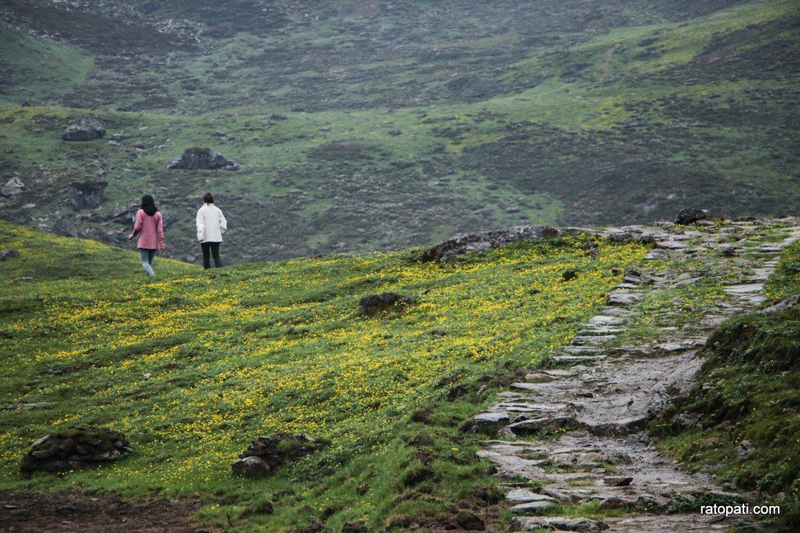 panch pokhari (10)