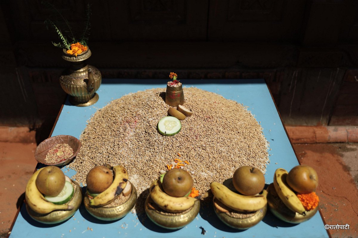 panchadan (14)
