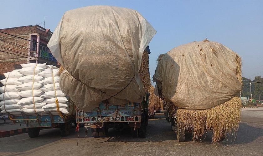   पराल बोकेका गाडी ट्राफिकको निसानामा, चालक आन्दोलनमा