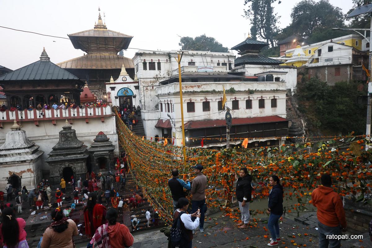 pashupati toran (2)