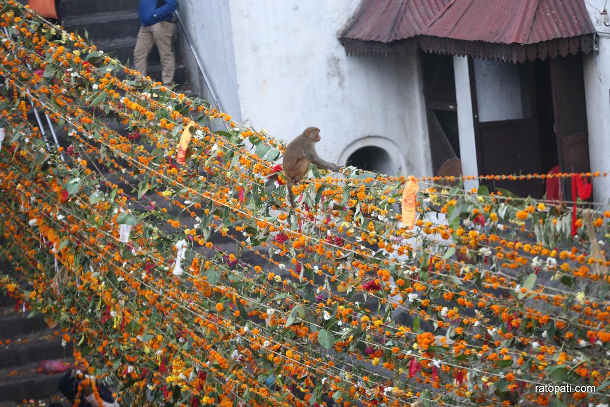 pashupati toran (6)