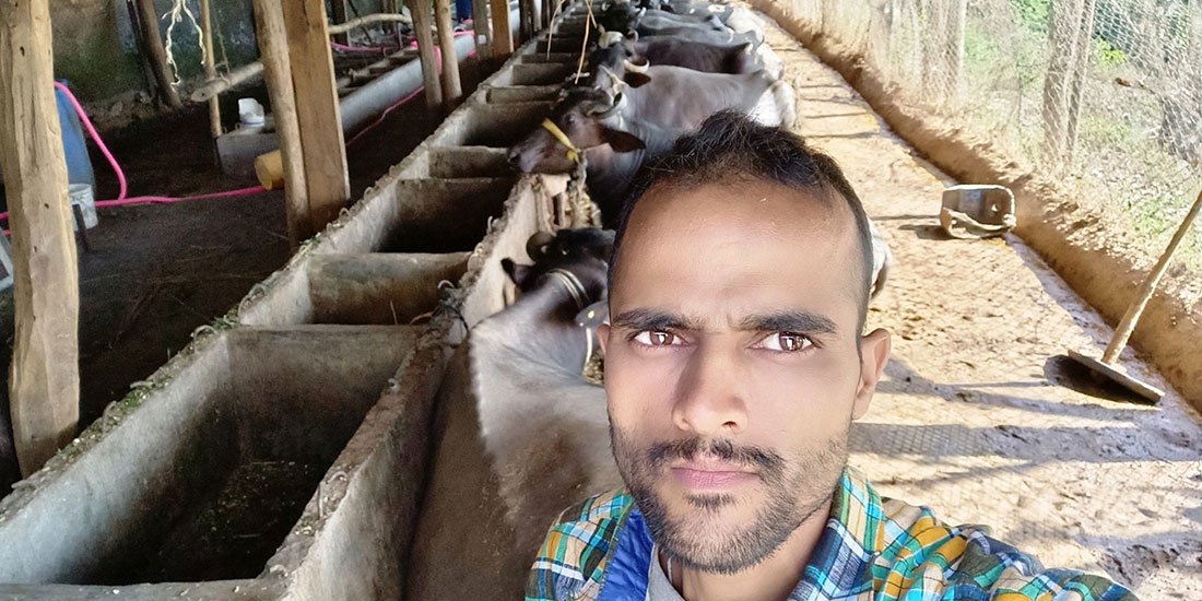   पशुपालनमा एक सञ्चारकर्मीको लोभलाग्दो क्रान्ति