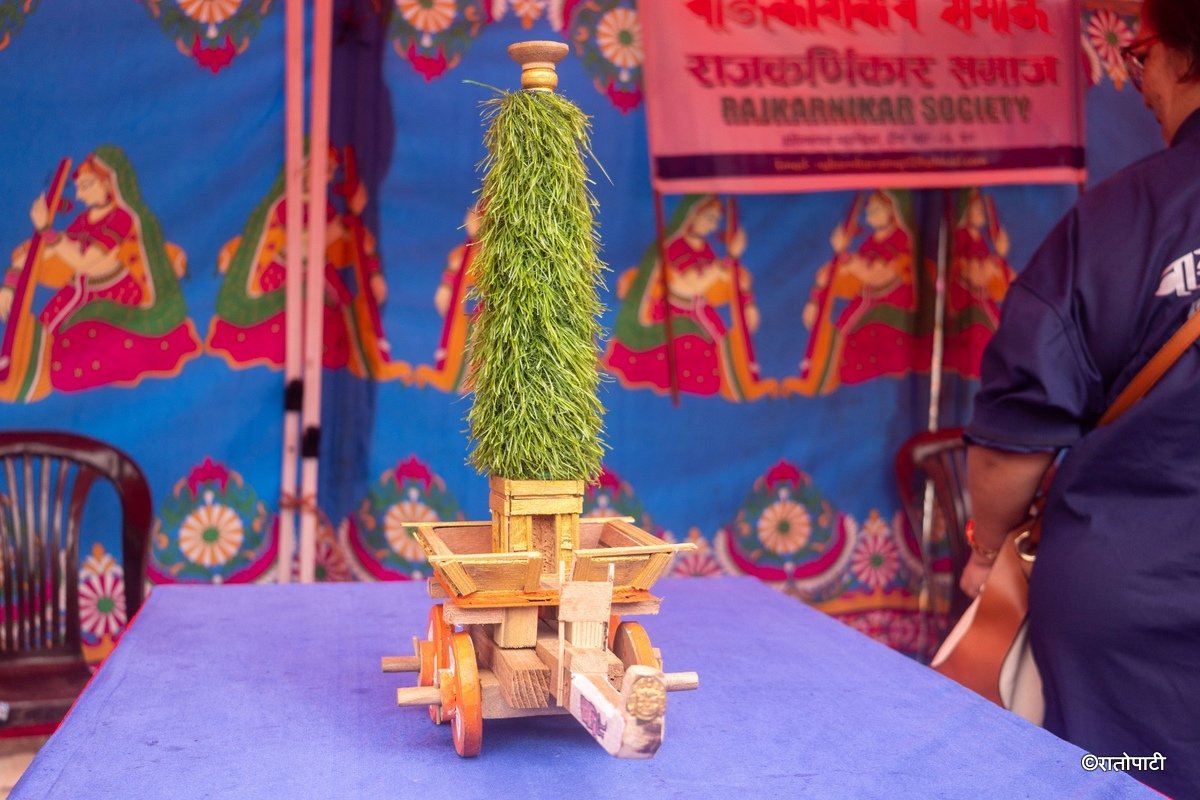 Patan Newa Mahotsav_NPL (15)
