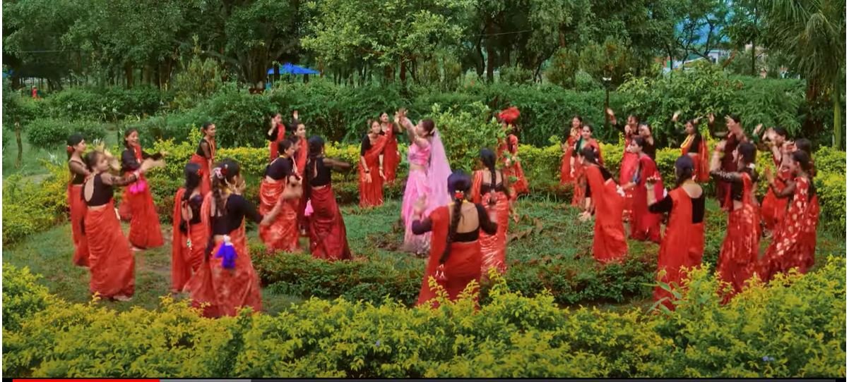   डा.मल्लको मौलिक तीज गीत ‘राधा’ सार्वजनिक