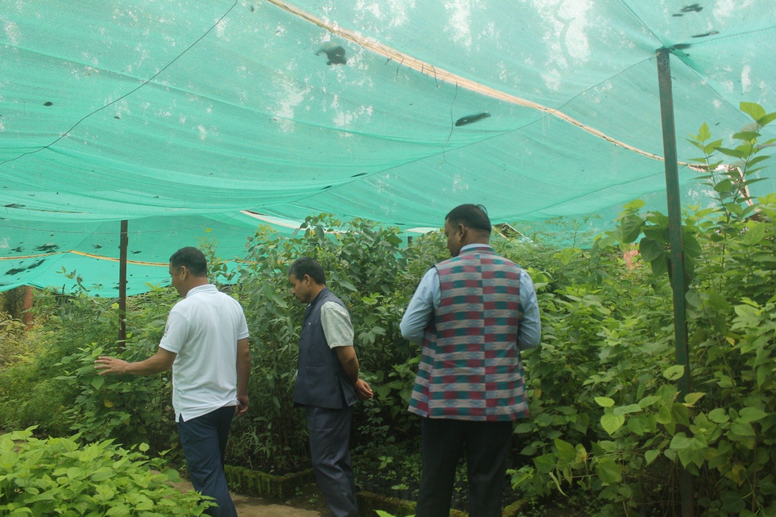   सुर्खेतमा हरित अभियान: ७८ हजार बिरुवा उत्पादनदेखि ‘सीएम’ पार्क निर्माणसम्म
