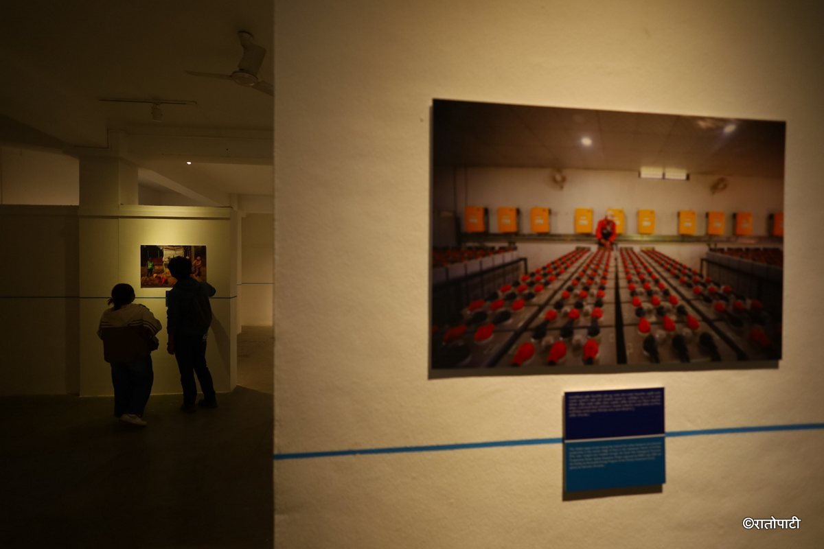 photo exhibitiobn (12)