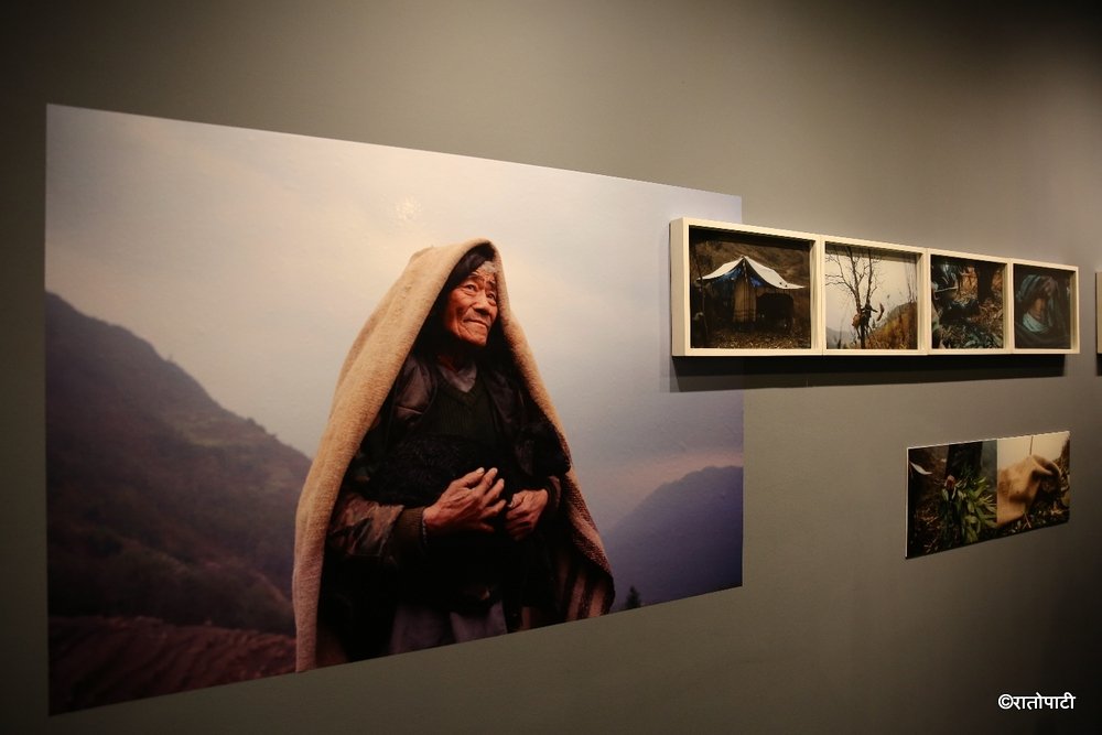 photo exhibition (7)