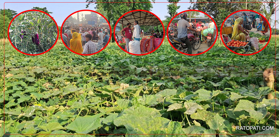 देवानगञ्ज : कृषि क्रान्तिको भूमि, जहाँ एक कट्ठा जमिन पनि छैन बाँझो