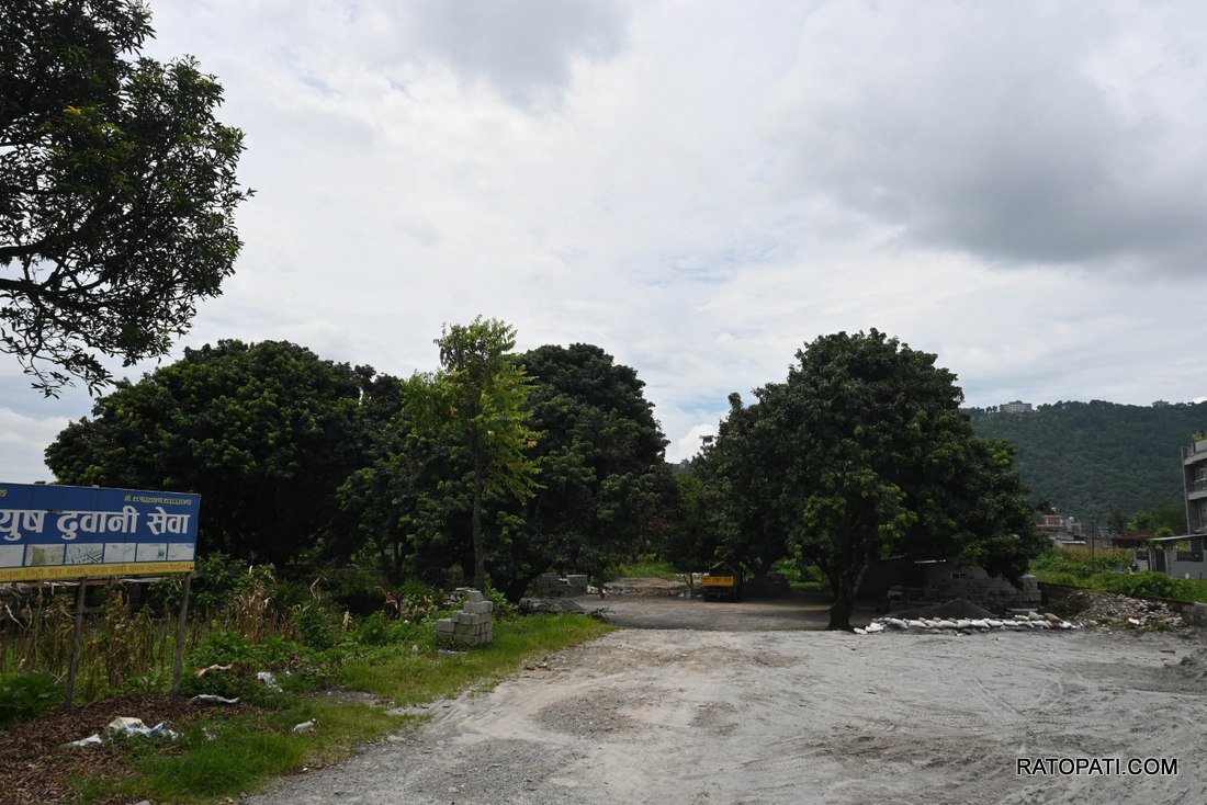 Pokhara Batule Chour_-1158