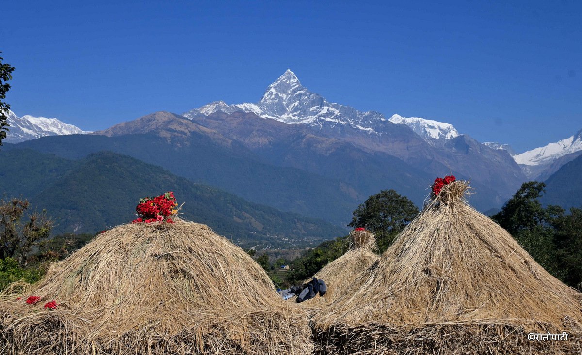 Pokhara Dai (4)