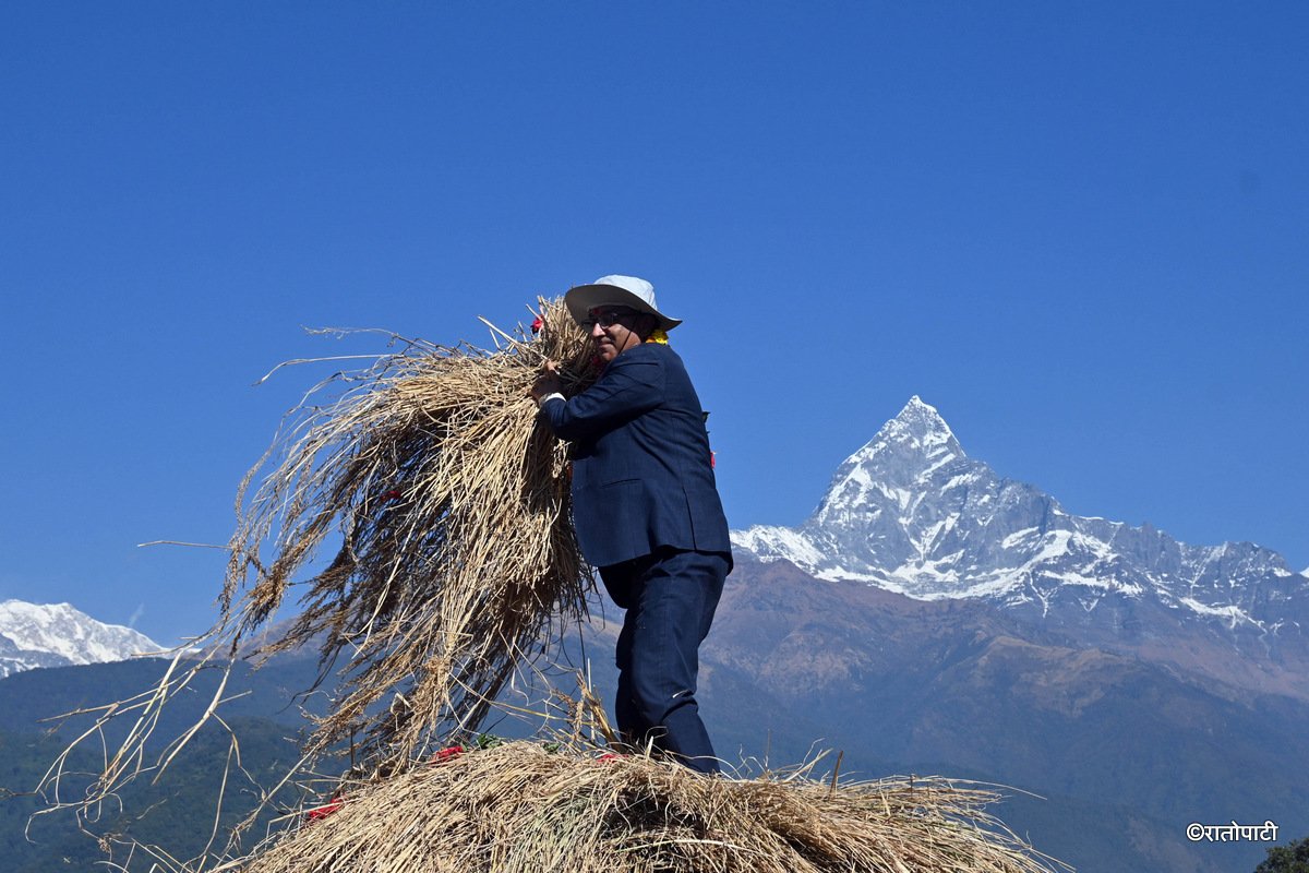 Pokhara Dai (6)