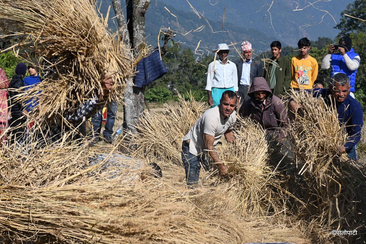 Pokhara Dai (8)