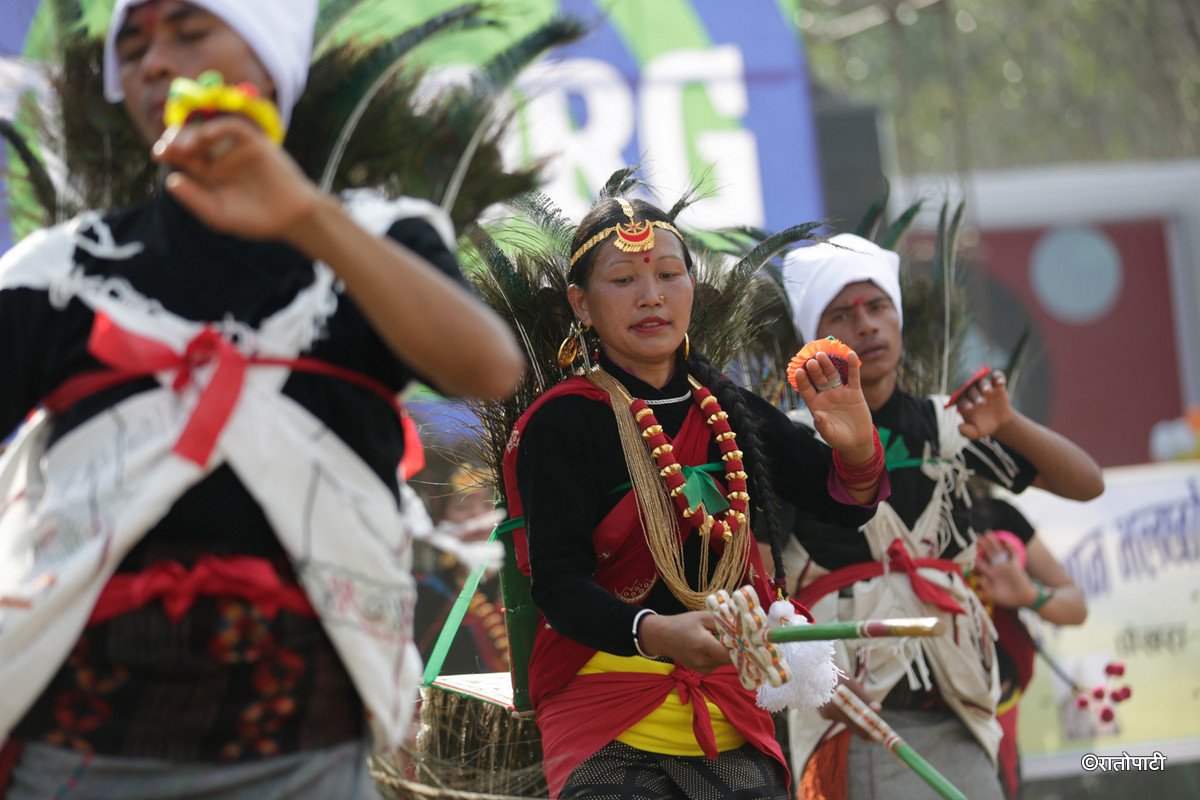 pokhara street festival (4)