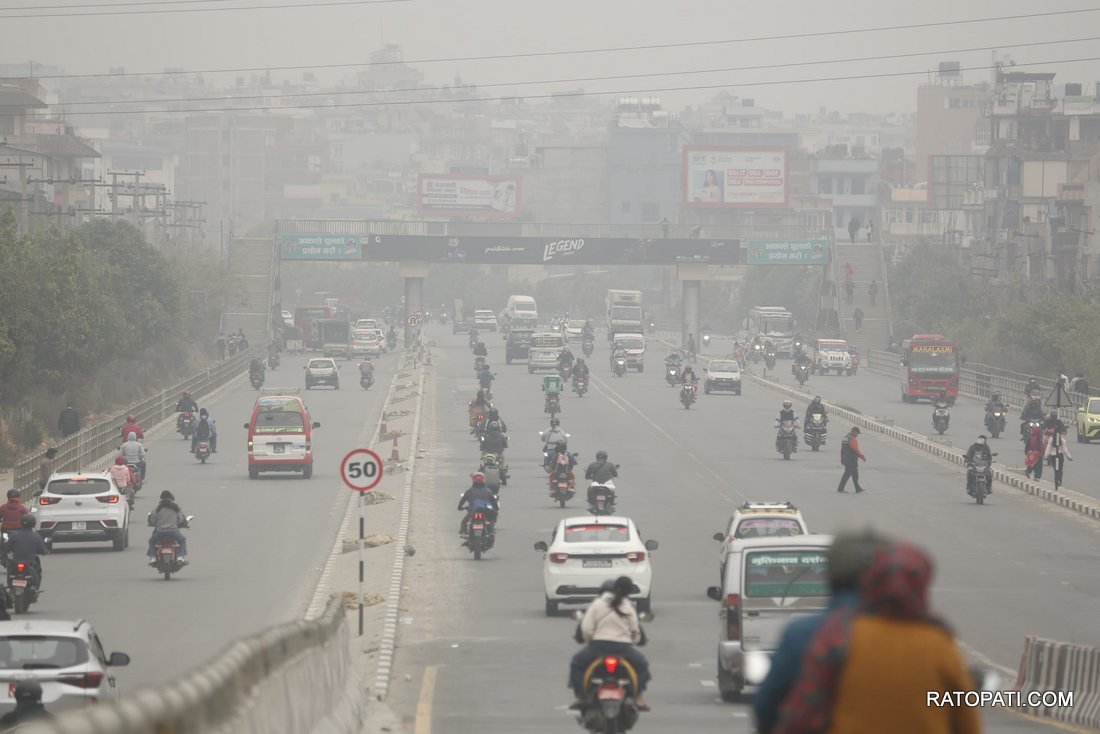 pollution  (11)