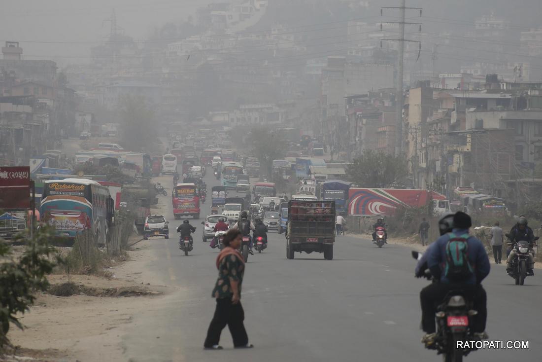 pollution  (13)