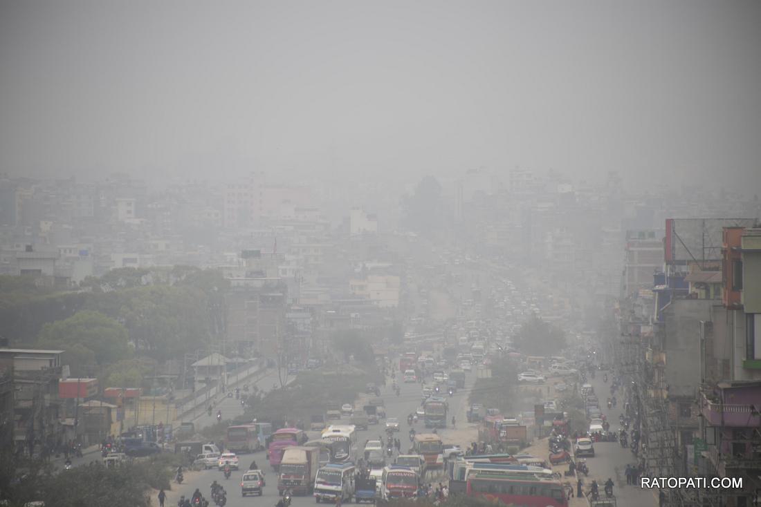 pollution  (14)