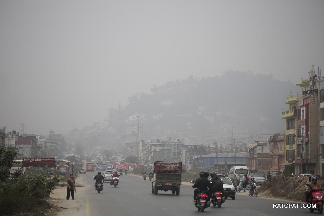 pollution  (17)