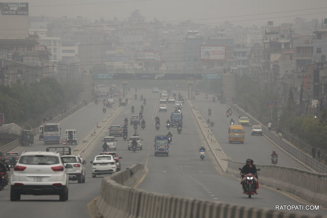 pollution  (4)