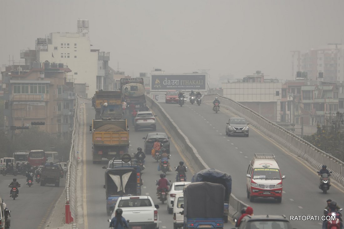 pollution  (5)