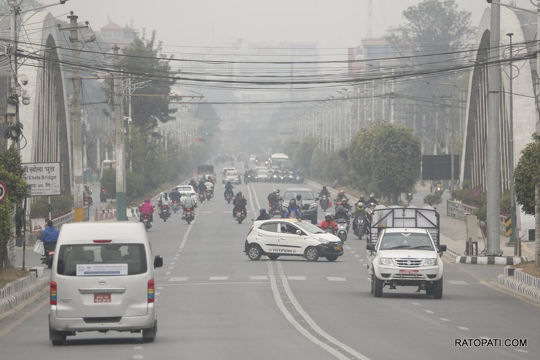 pollution  (8)