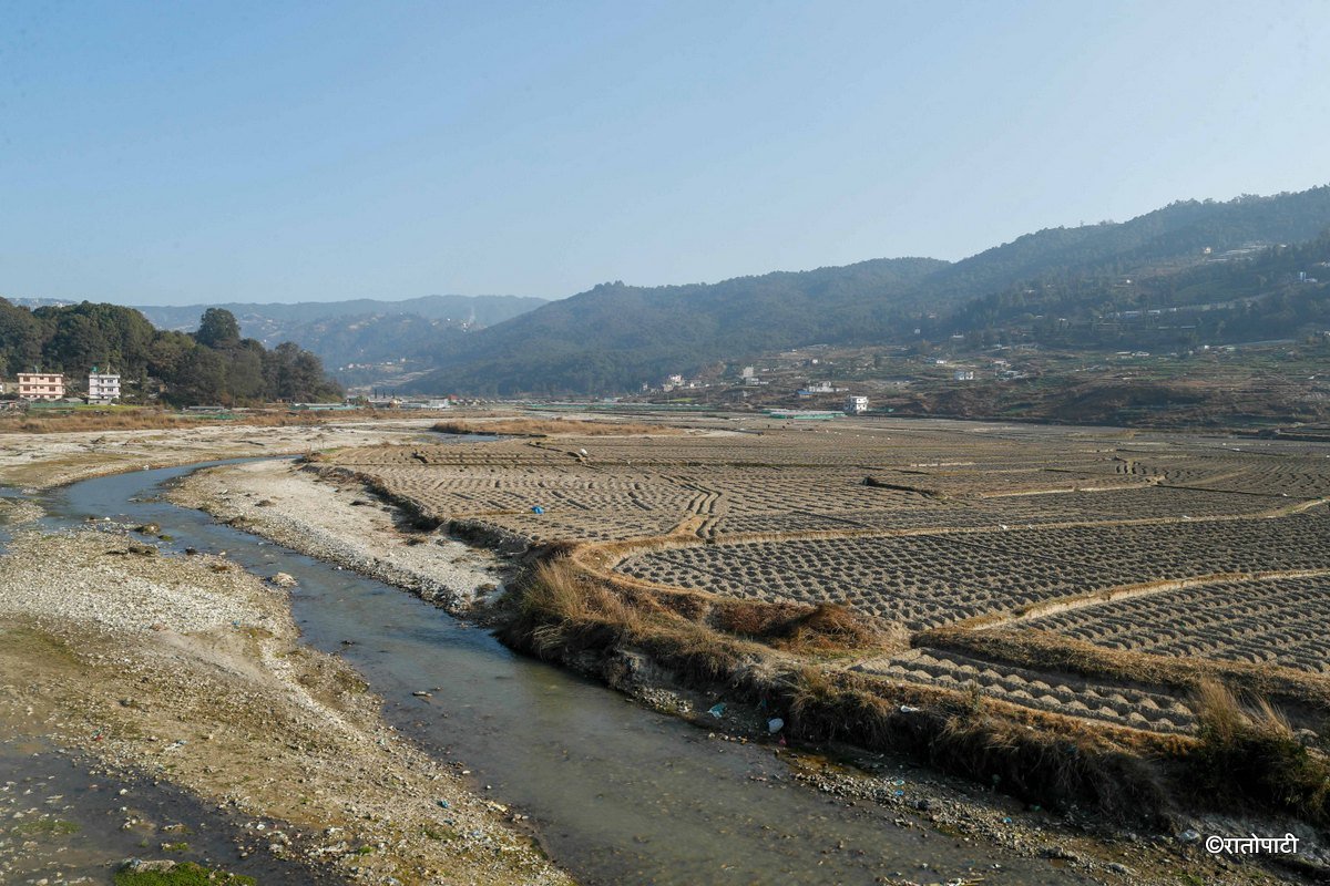 Potato Farming, Photo Nepal Photo Library.11