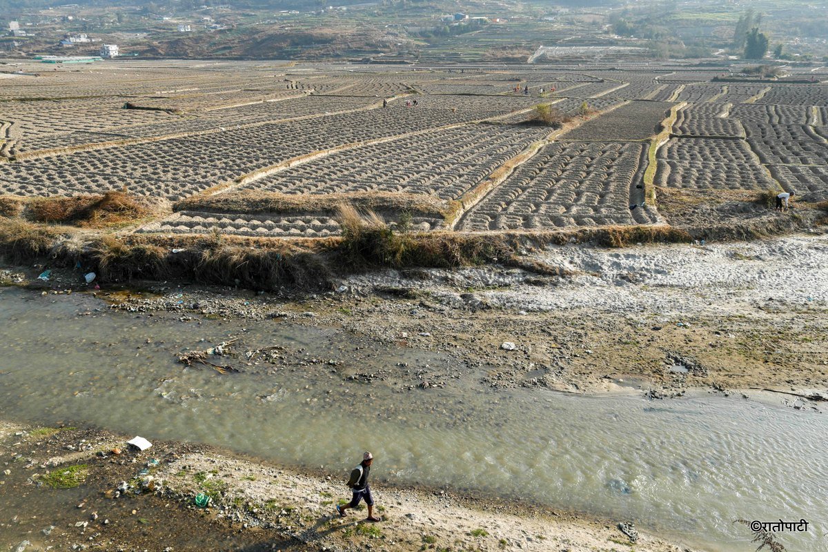 Potato Farming, Photo Nepal Photo Library.4