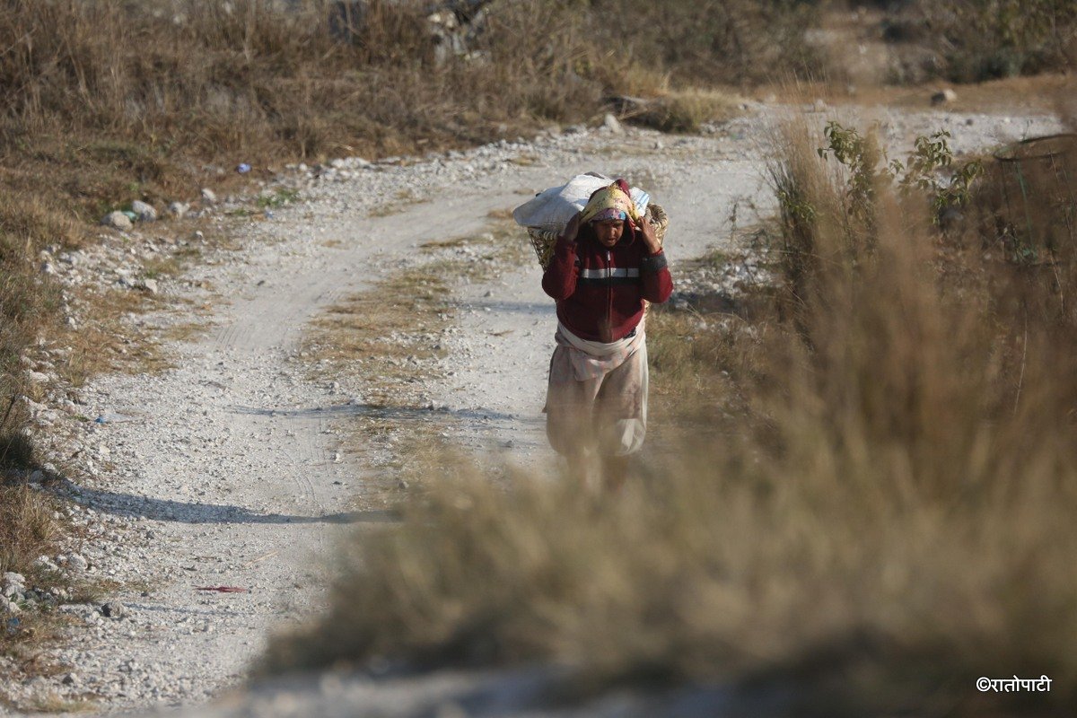 Potato Farming, Photo Nepal Photo Library.5