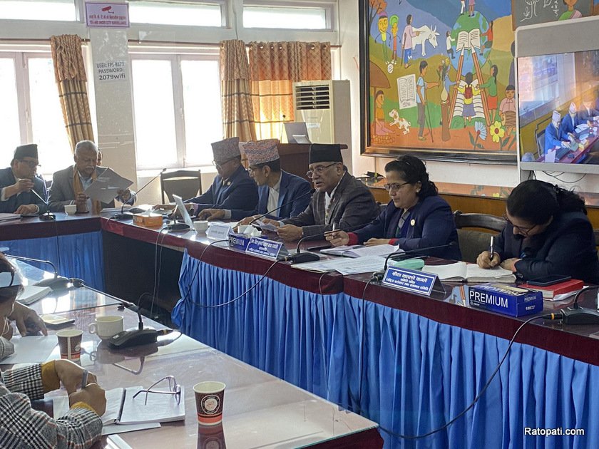   संघीय निजामतीसम्बन्धी विधेयक संसदमा प्रस्तुत गर्ने अन्तिम तयारीमा छौं : प्रधानमन्त्री प्रचण्ड