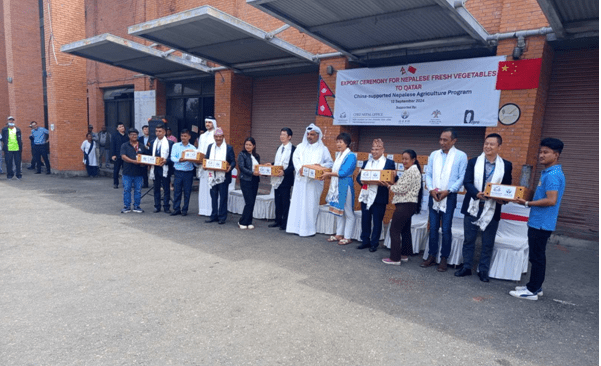   दक्षिणकालीको टाटेसिमी र अकबरे खुर्सानी कतारमा