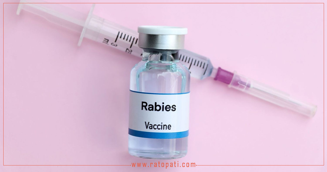 Rabies Vaccine Shortage in Nepal Amidst High Demand