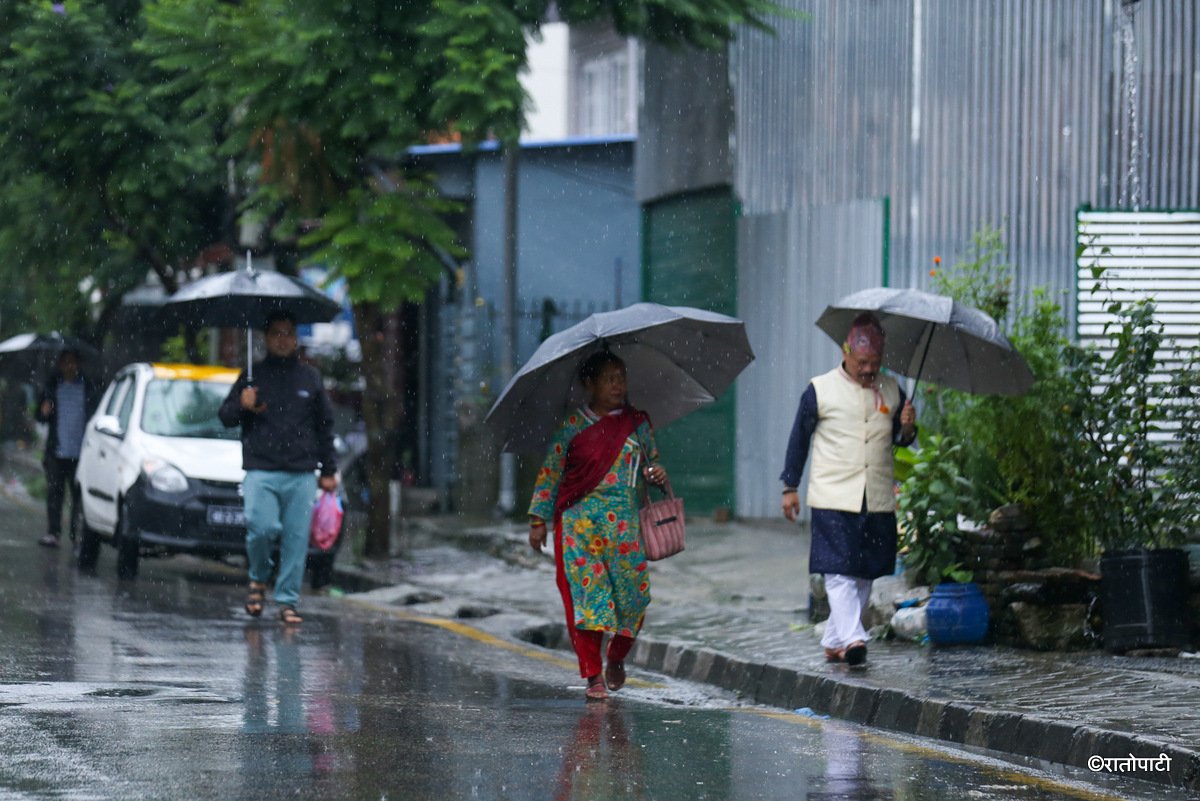 rain (10)
