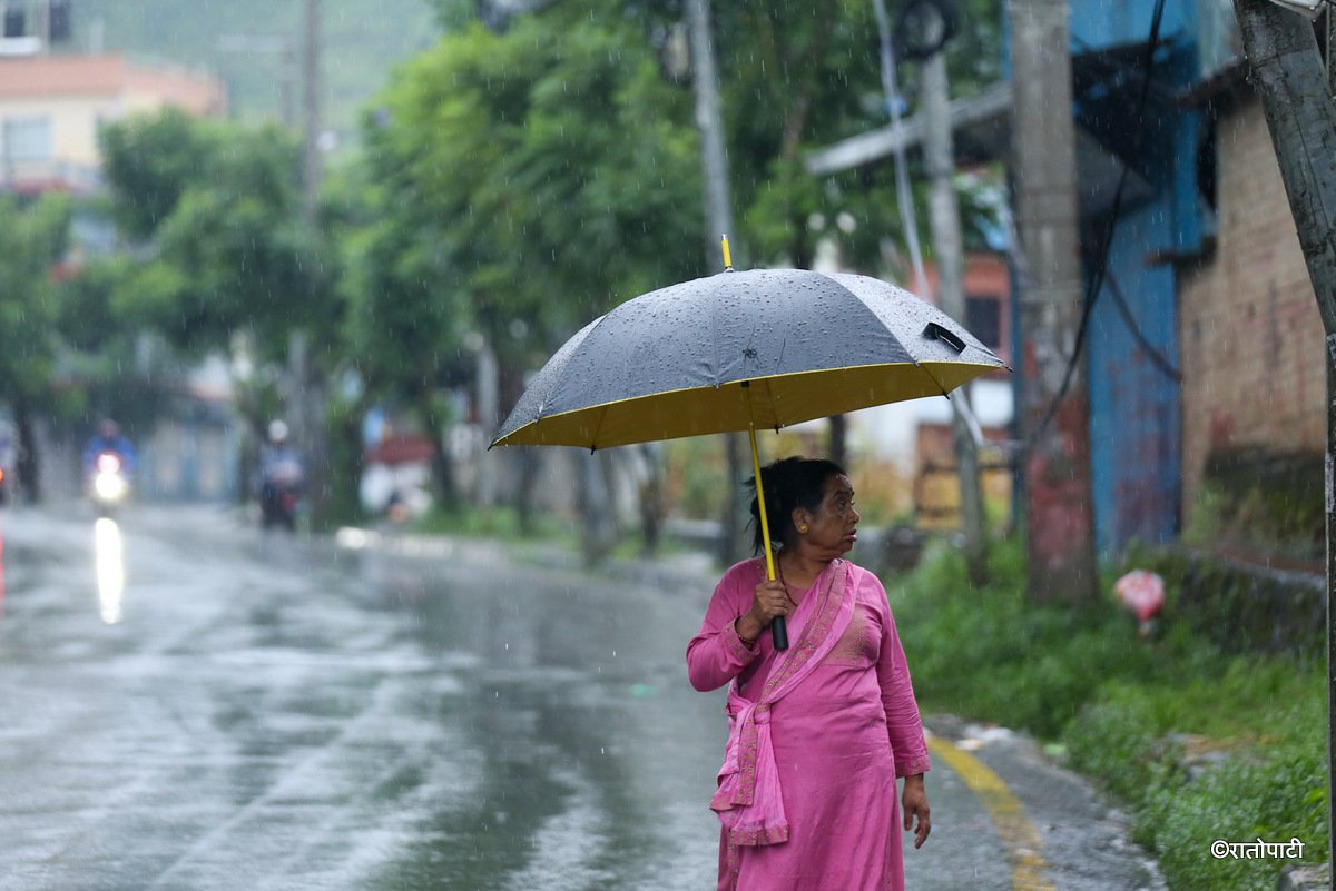 rain (12)