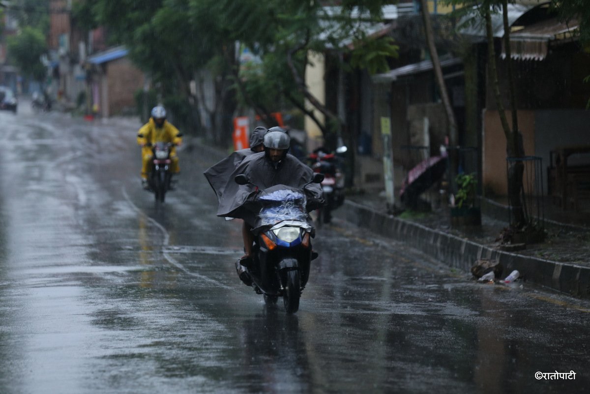 rain (3)