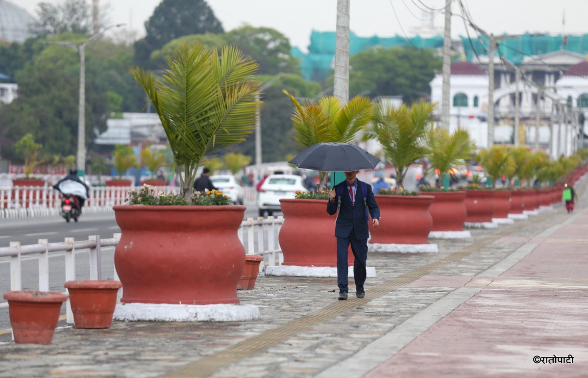 rain (4)