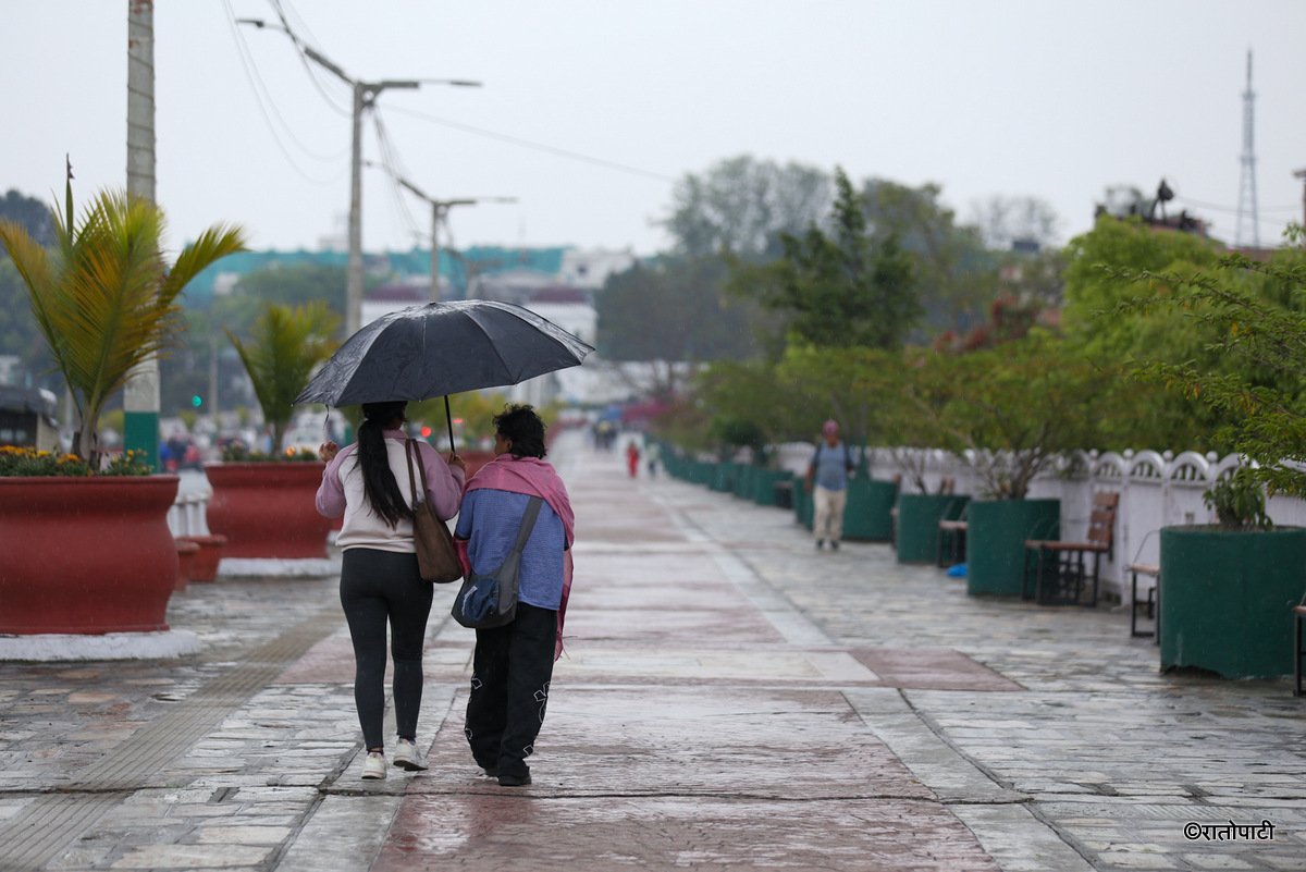 rain (6)