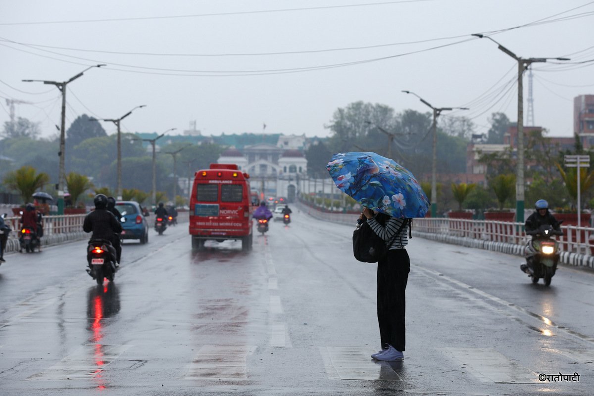 rain (7)
