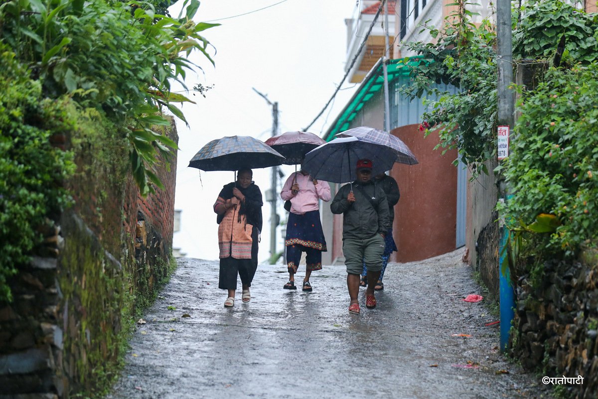 rain (8)