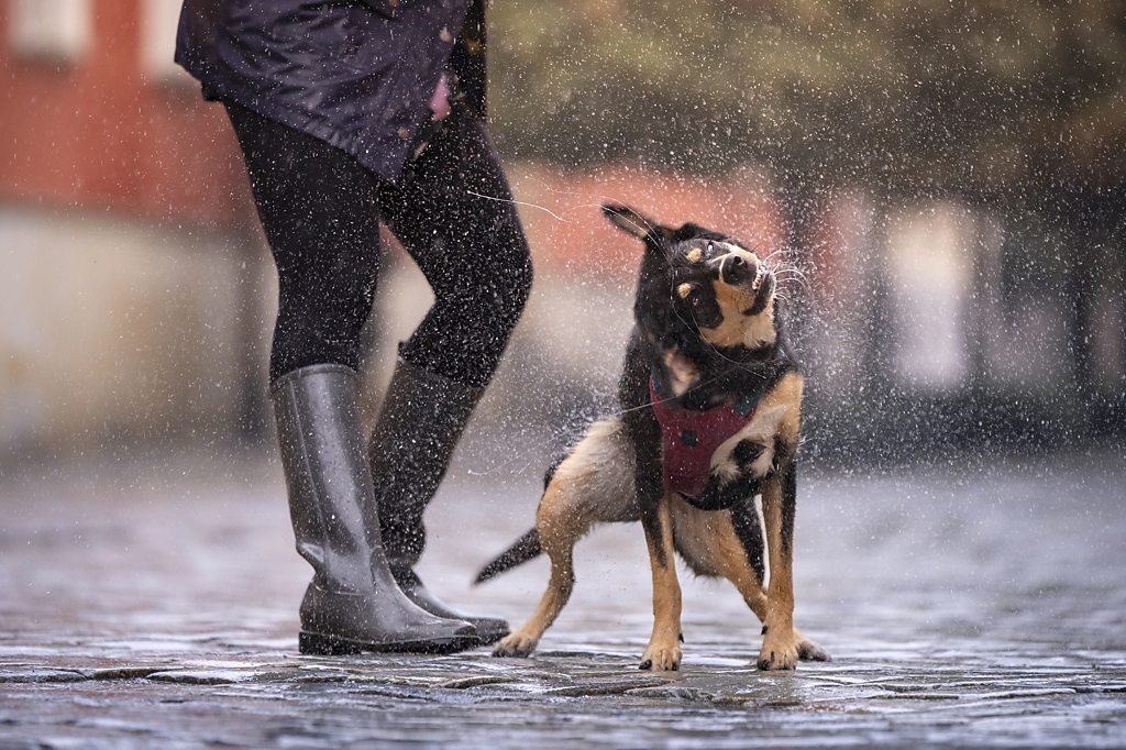 rain 3