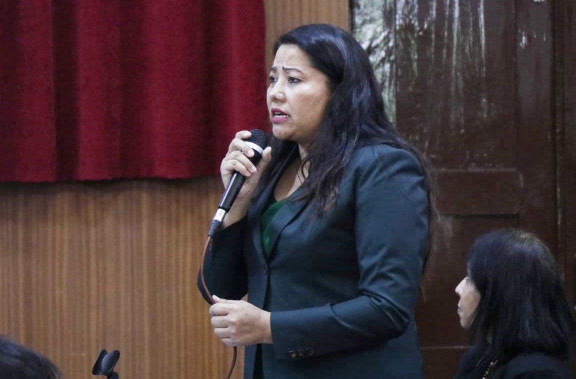 National Assembly Members Raise Concerns on Public Security, Governance, Development, and Social Justice
