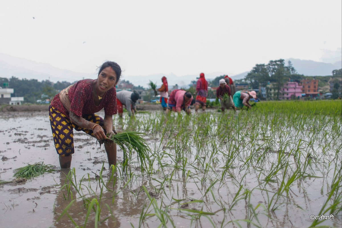 Rastriya Dhan Diwas (10)