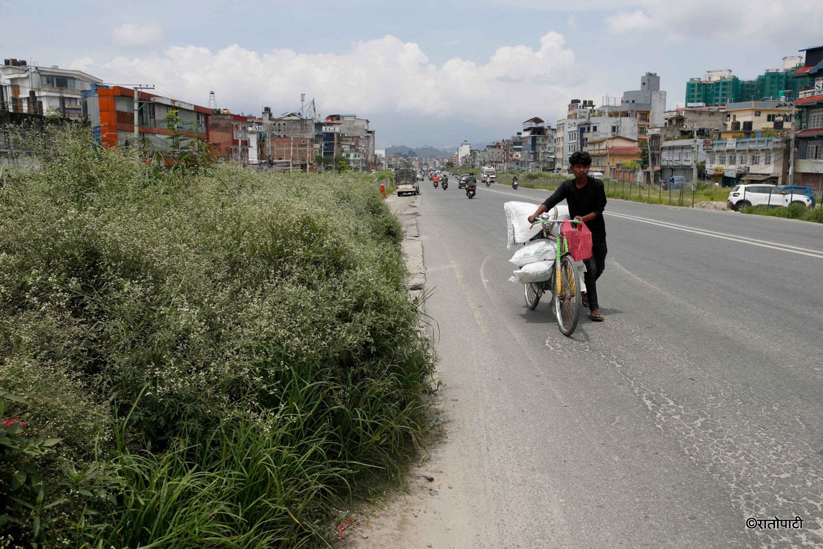 Ringroad (11)