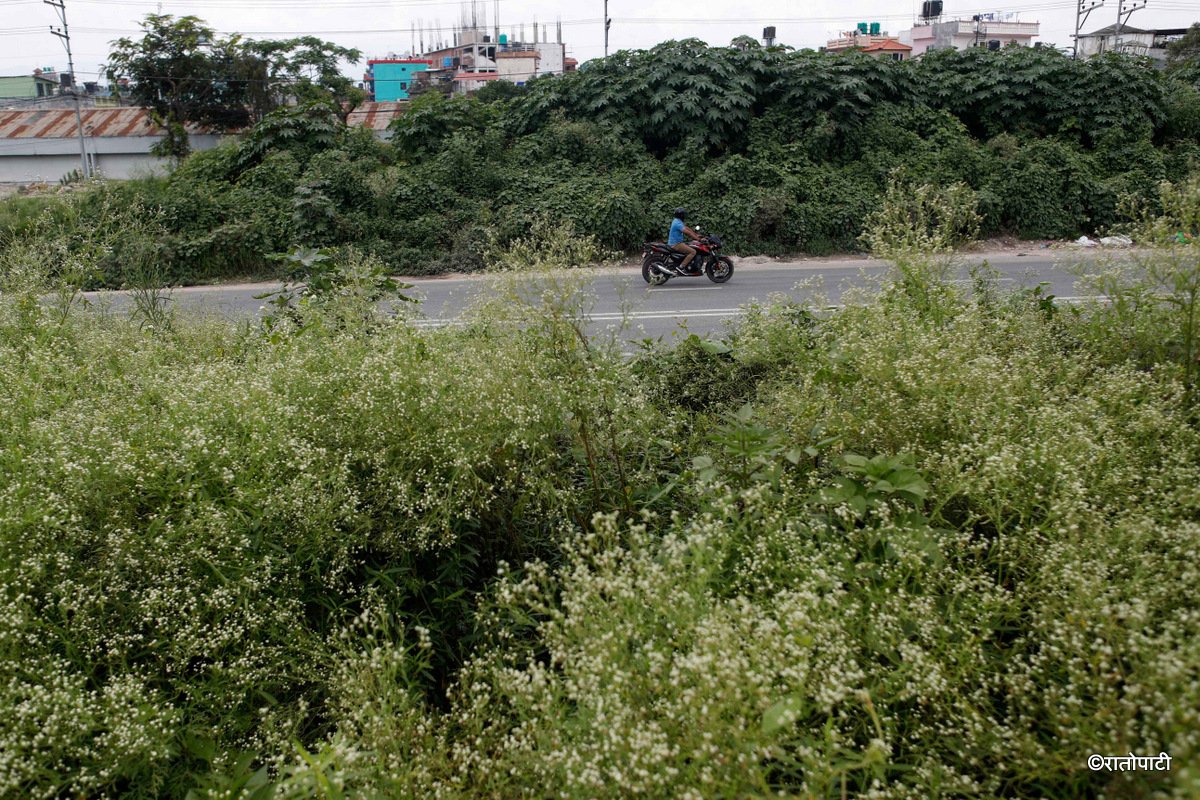 Ringroad (14)