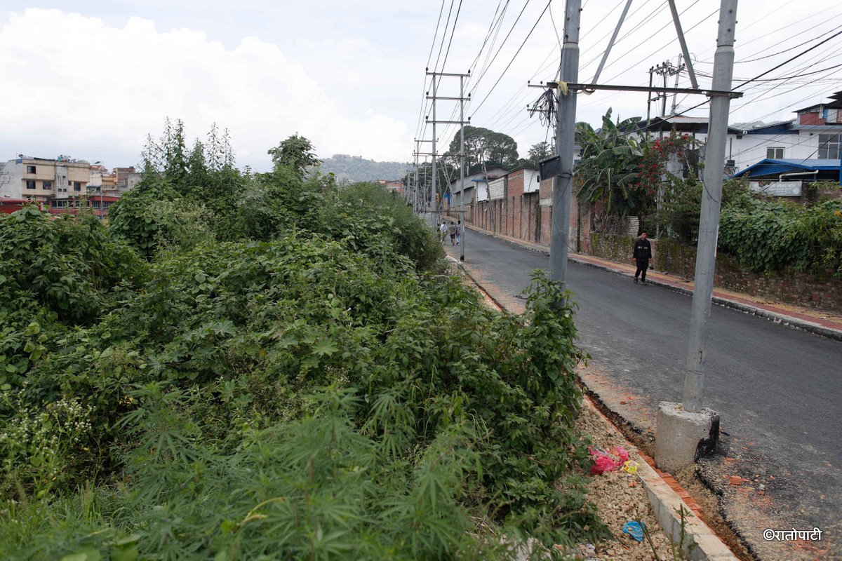 Ringroad (15)