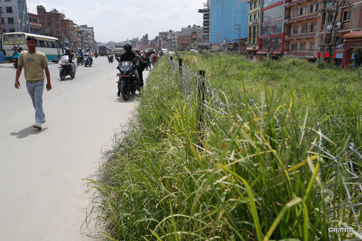 Ringroad (6)