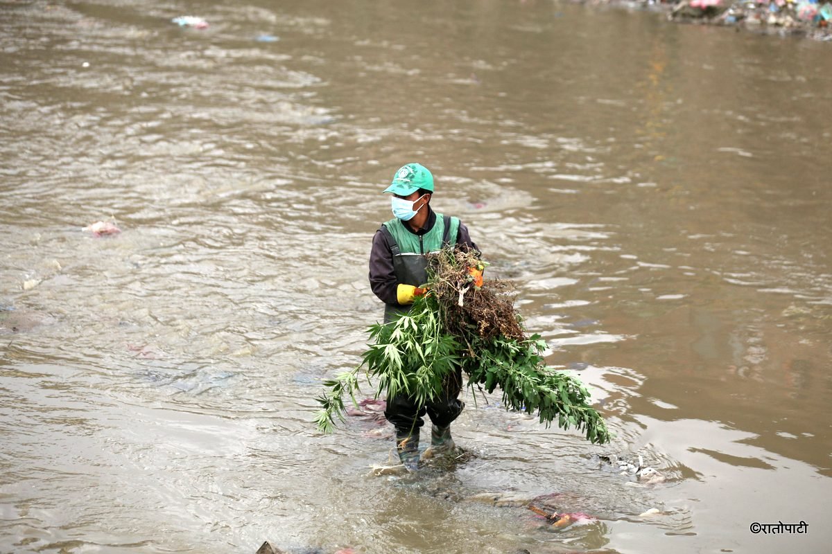 river cleaning (7)