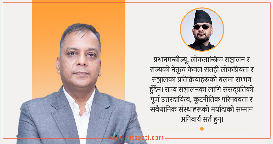 सञ्जालका शूरवीर, संसद्का सन्न्यासी